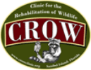 CROW logo