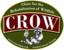 CROW logo