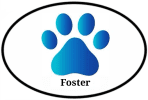 Foster