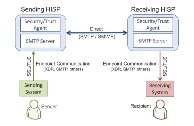 Infograph of HISP